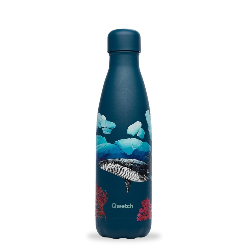 Gourde bouteille isotherme en inox - Protection Baleine - 500 ml--Gourde-Qwetch-Nature For Kids-1